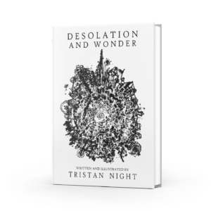 Desolation and Wonder by T. Night (EBOOK)
