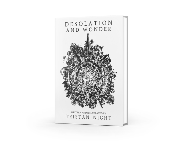 Desolation and Wonder by T. Night (EBOOK)